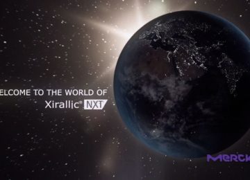 زیرالک کار پینٹ