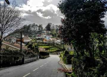 How to Get a Driving License in Portugal