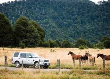 Mendapatkan SIM di Chili