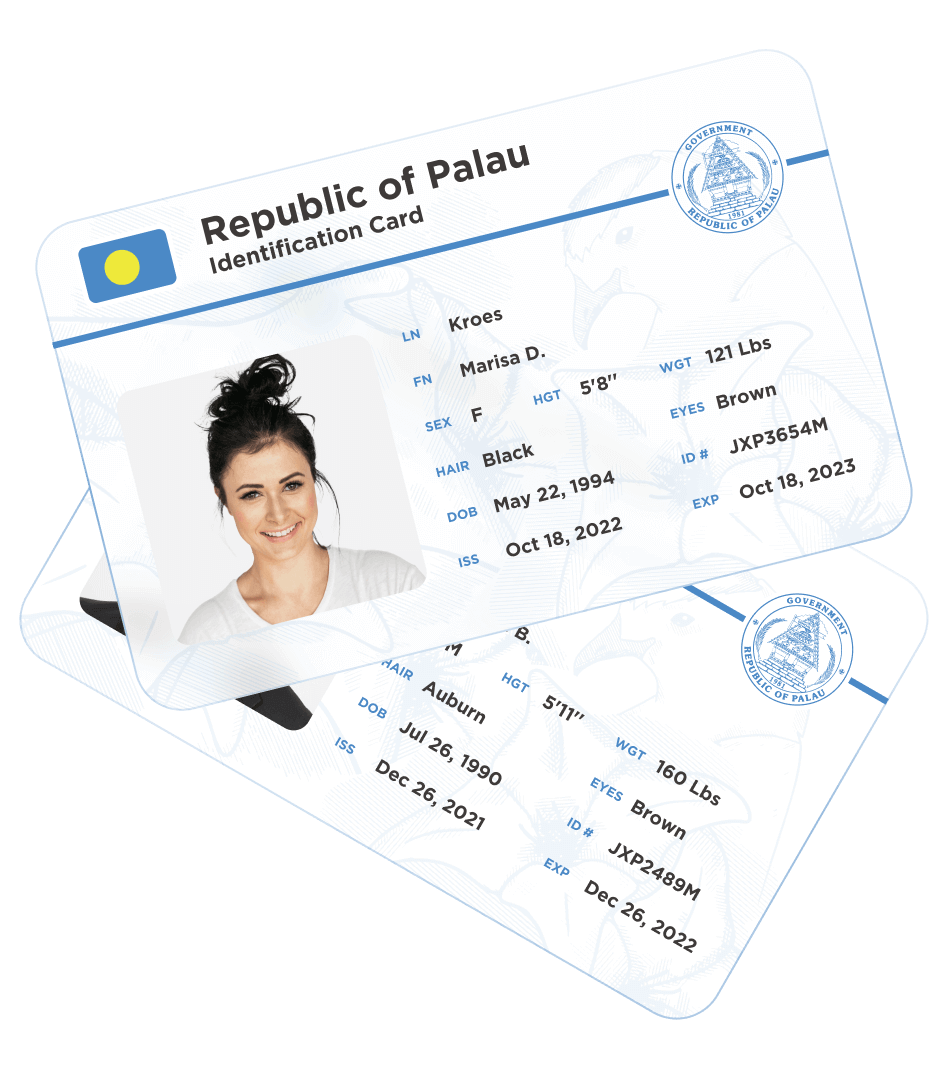 Palau Digital Residency Program