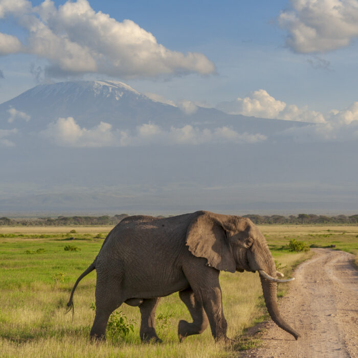 10 Interesting Facts About Kenya