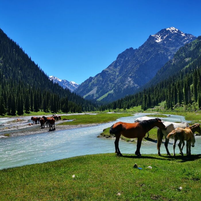 10 interessante Fakten über Kirgisistan