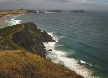 Жаңа Зеландия эротикасы