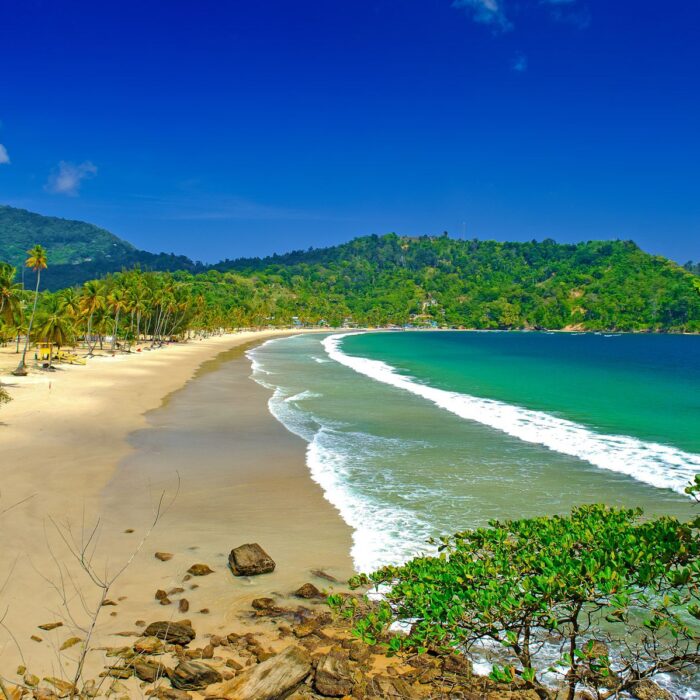 10 Interesting Facts About Trinidad and Tobago