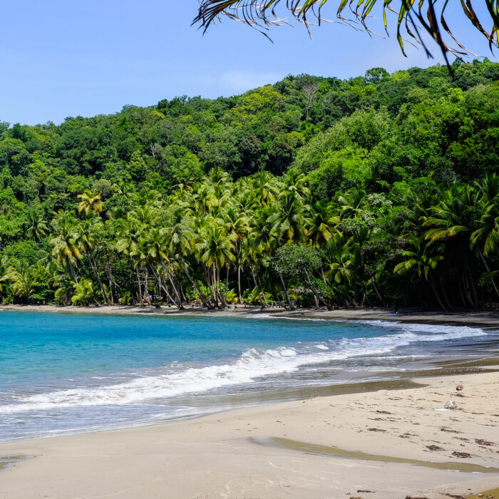 10 fatos interessantes sobre Dominica
