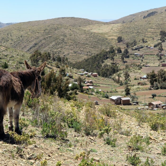 10 fatti interessanti sulla Bolivia