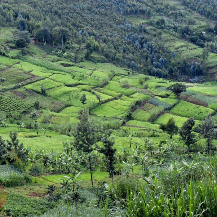 10 fatti interessanti sul Burundi