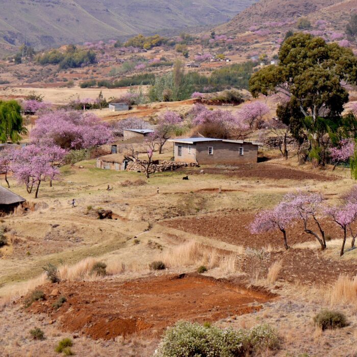 10 fatti interessanti sul Lesotho