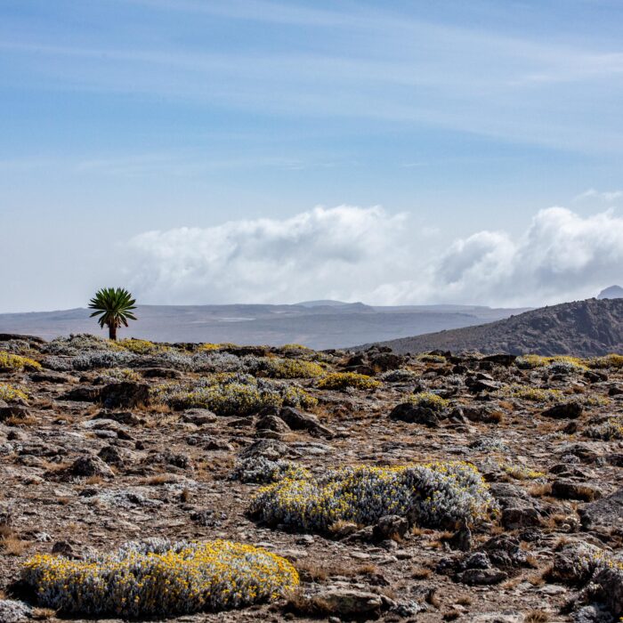 10 fatti interessanti sull'Etiopia