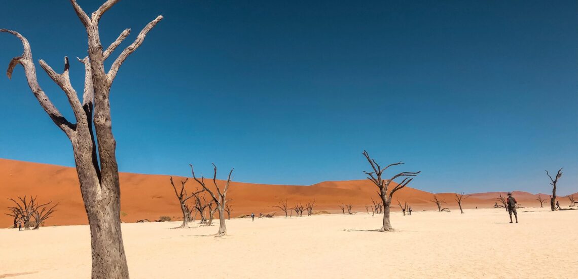 10 interessante Fakten über Namibia