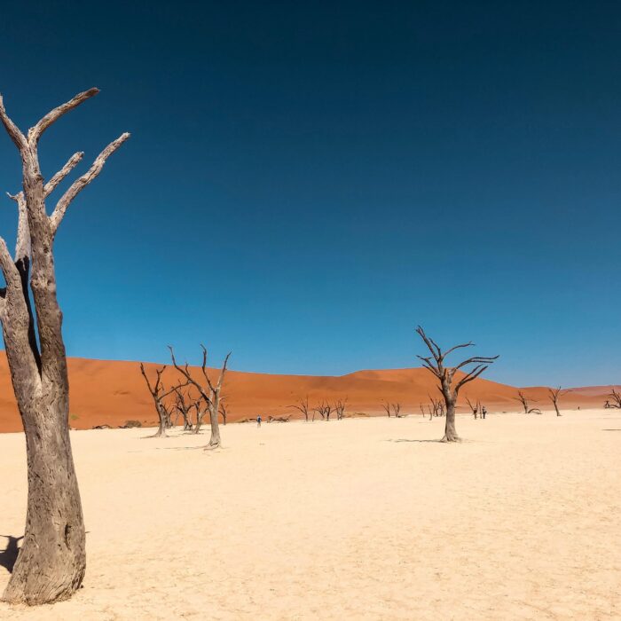 10 faits intéressants sur la Namibie