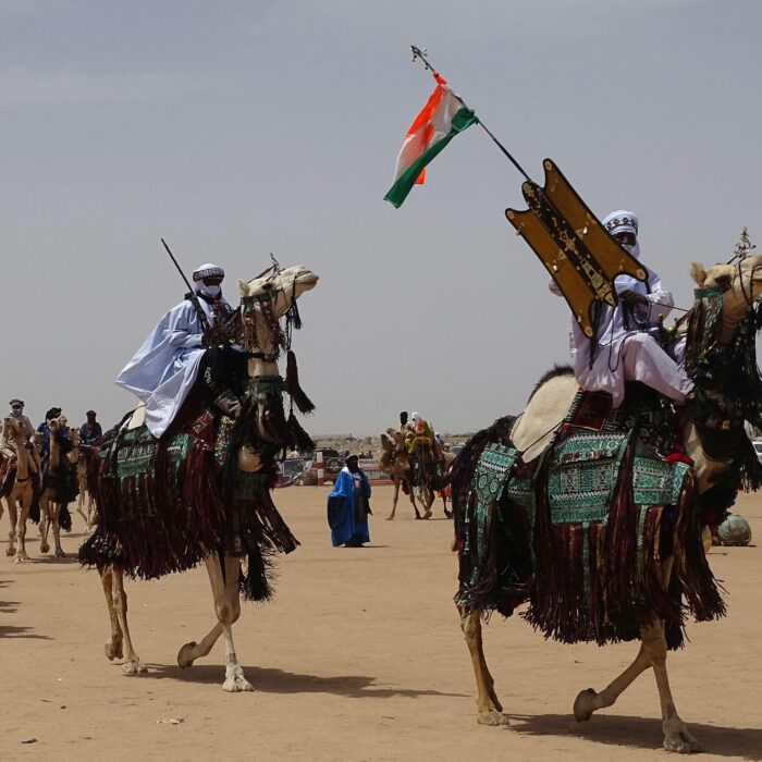 10 Interesting Facts About Niger