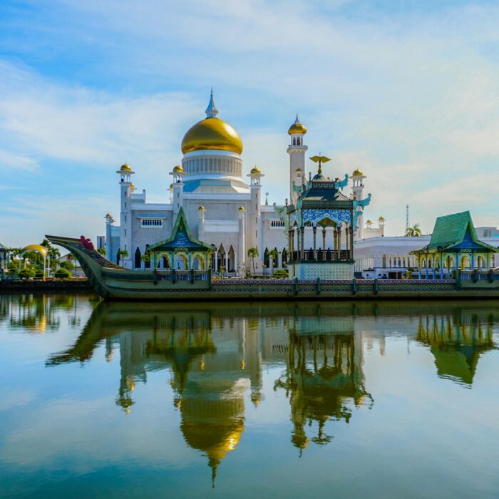 Semiz ayolning surati eshak va mushukda becerdin