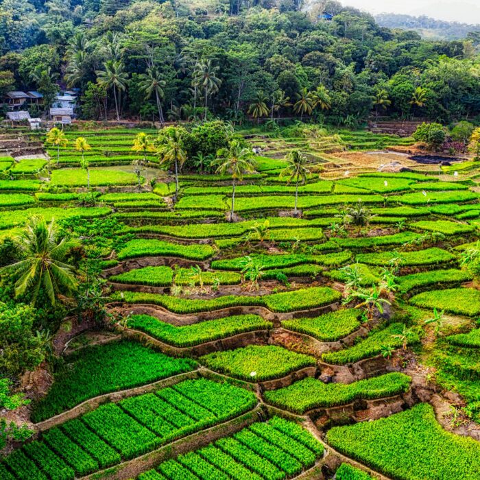 Cele Mai Bune Locuri de Vizitat în Indonezia