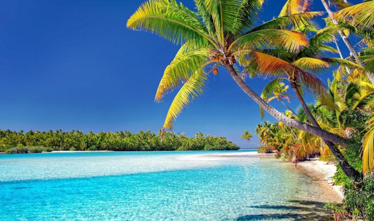 タヒチ : イースター島クック諸島 2007-2008☆もう1冊無料です