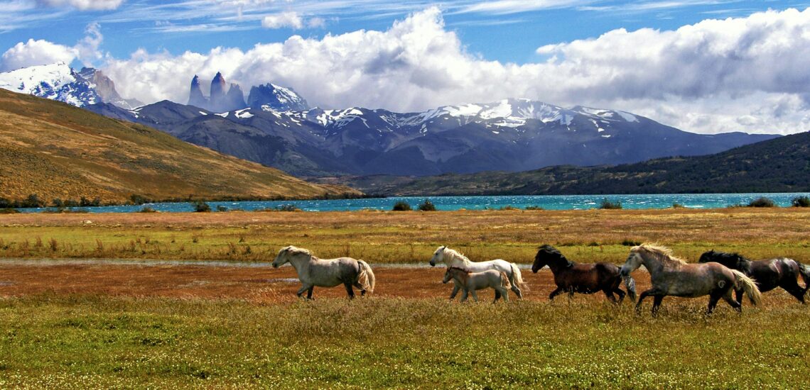สถานที่ท่องเที่ยวที่ดีที่สุดในชิลี