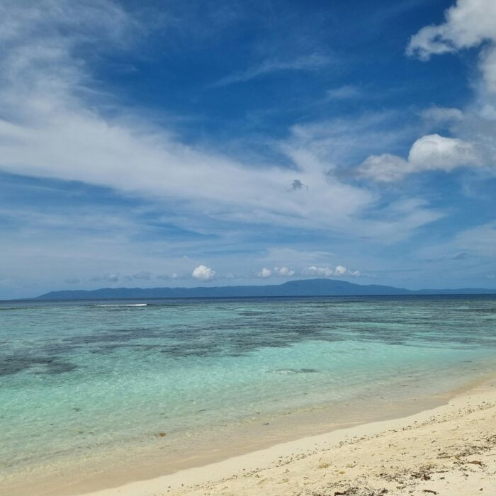 Jinsiy toshak traxodromi Vaginaga kiraverishda osadi