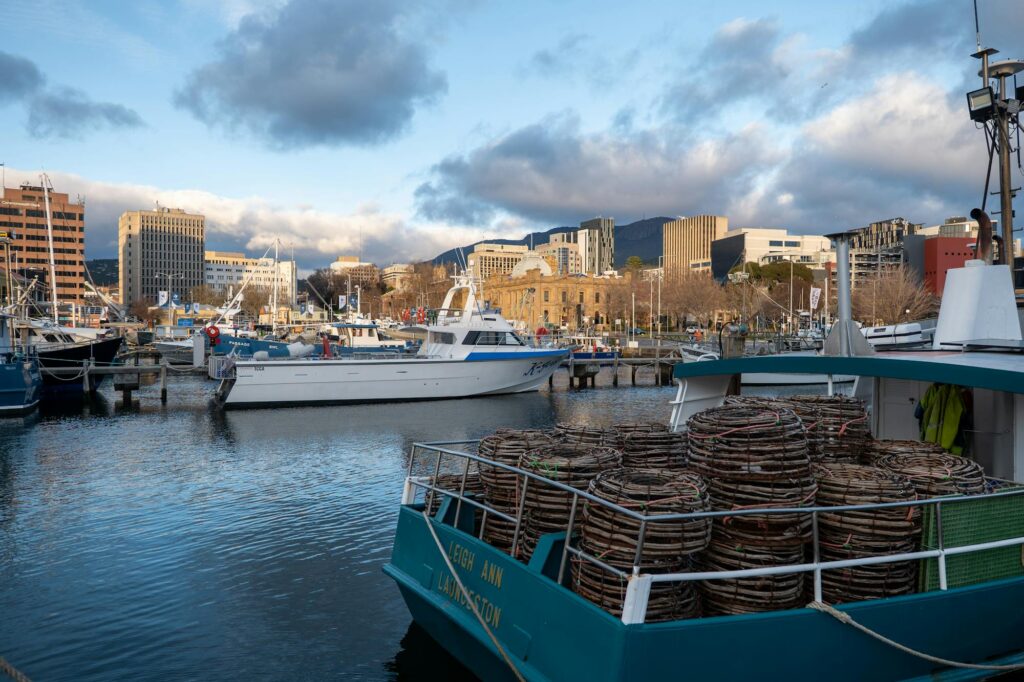Екі лесбиянка бір-бірінің мысығын жалайды