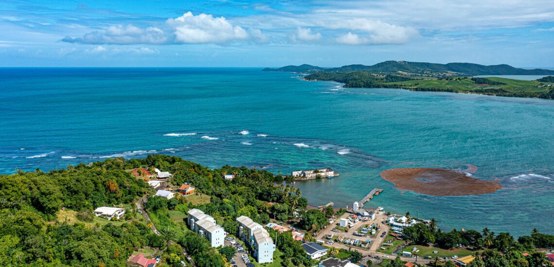 Жетілген лесбиянки трахают қызды белдікпен