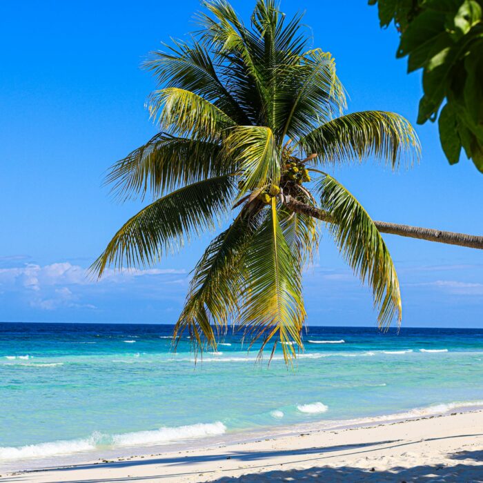 Best Places to Visit in Jamaica