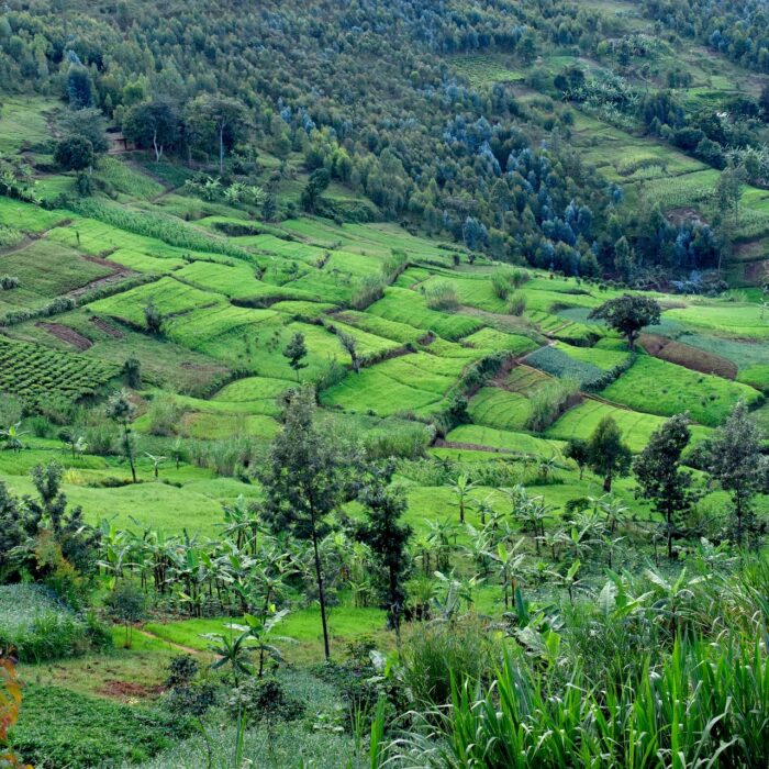 Best Places to Visit in Burundi