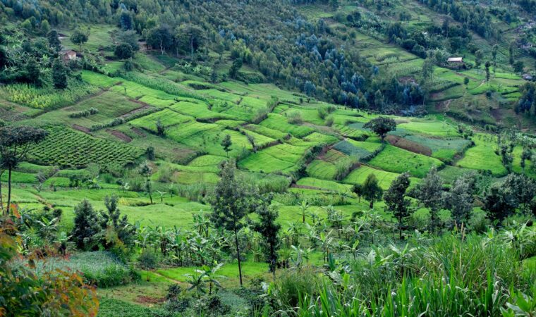 De beste stedene å besøke i Burundi