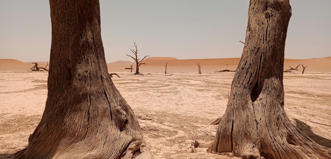 Best Places to Visit in Namibia