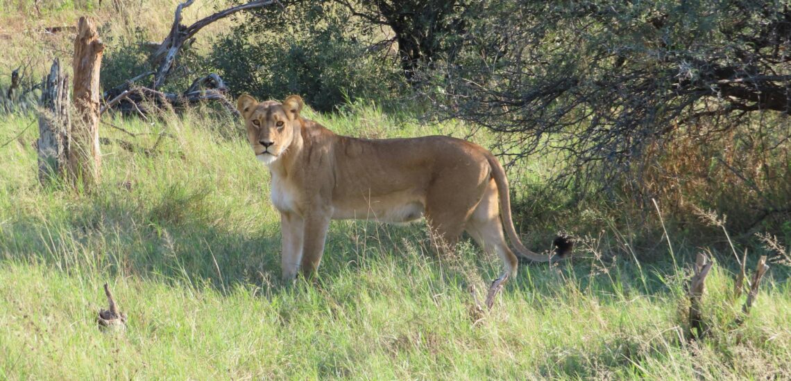 Beste Plekke om te Besoek in Zimbabwe