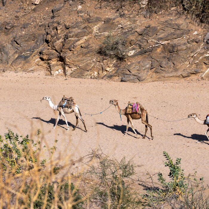 Լավագույն վայրերը Էրիթրեայում այցելելու համար