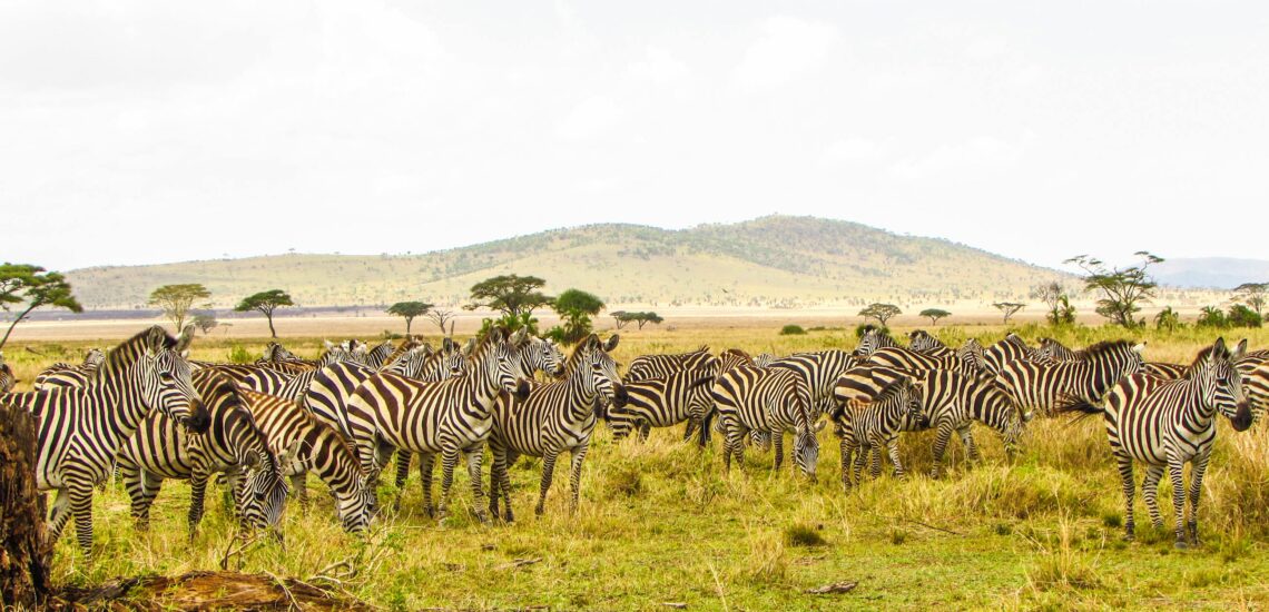 Best Places to Visit in Tanzania