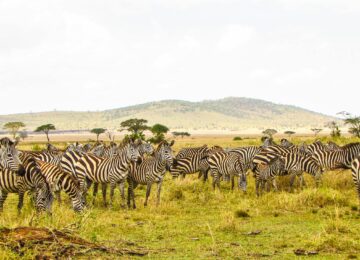 Nejlepší místa k návštěvě v Tanzanii