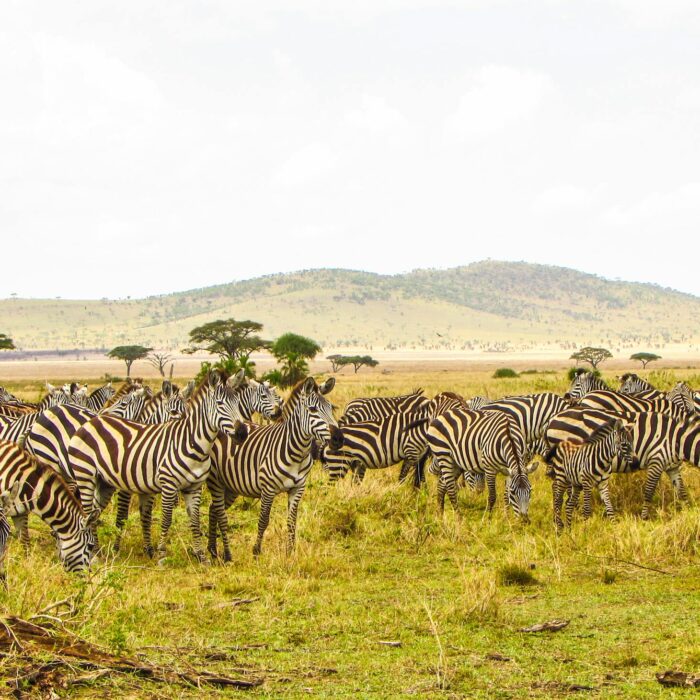 Best Places to Visit in Tanzania