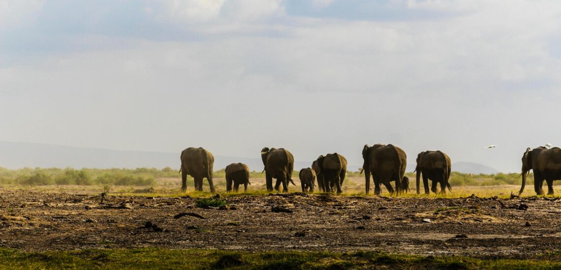 Best Places to Visit in Kenya