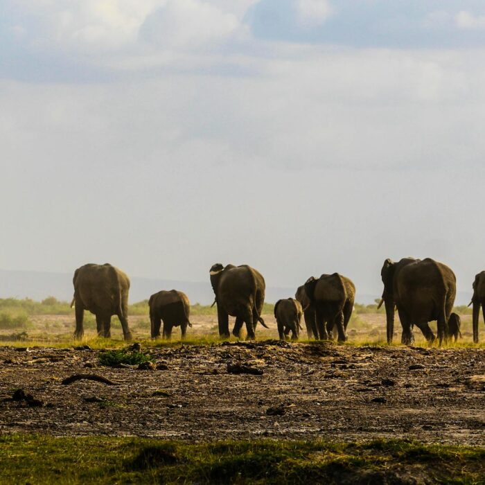 Best Places to Visit in Kenya