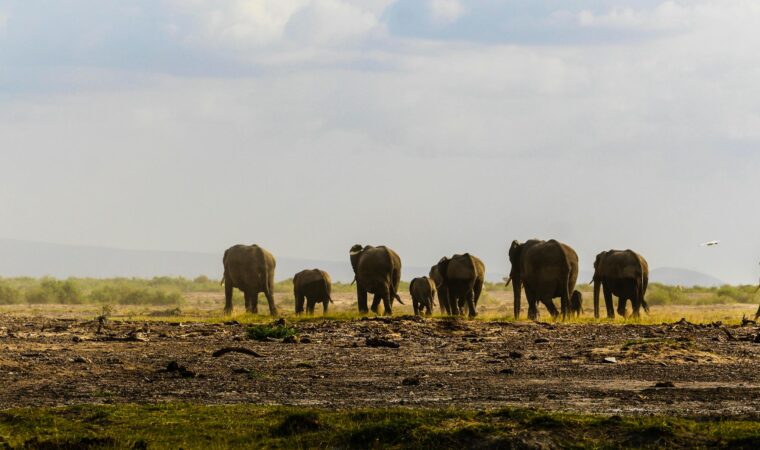 Die besten Orte in Kenia