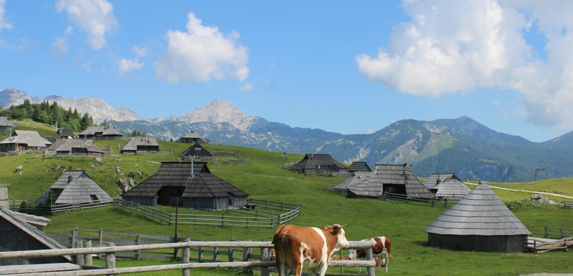 斯洛維尼亞以什麼聞名？