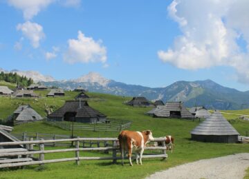 Sloveniya nə ilə məşhurdur?