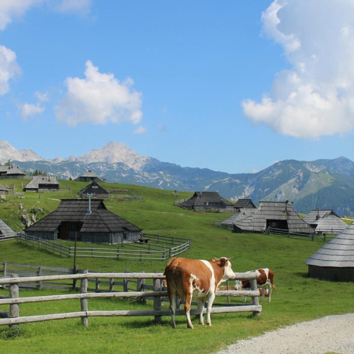 Vad är Slovenien känt för?