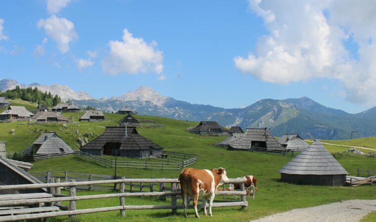 តើស្លូវេនីល្បីល្បាញដោយសារអ្វី?