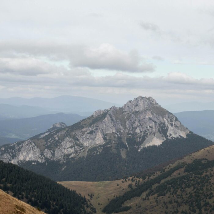 What is Slovakia famous for?